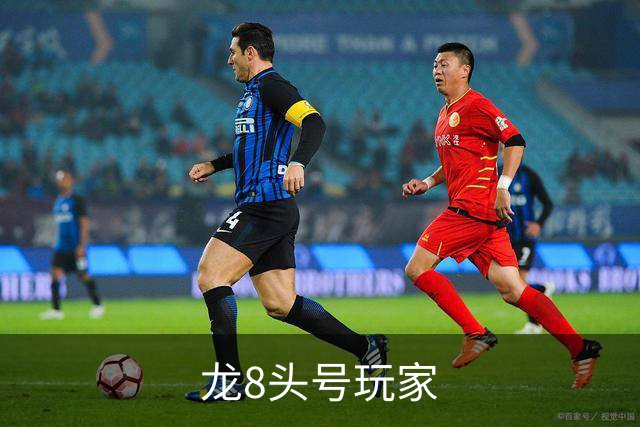 龙8头号玩家公司简介图片
